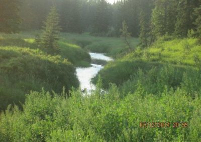 view in rv campsite for northern alberta, french creek in fawsett